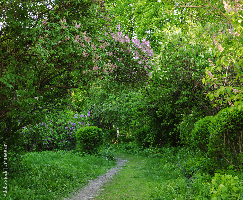 Path to the beautiful spring garden Path to the beautiful spring garden