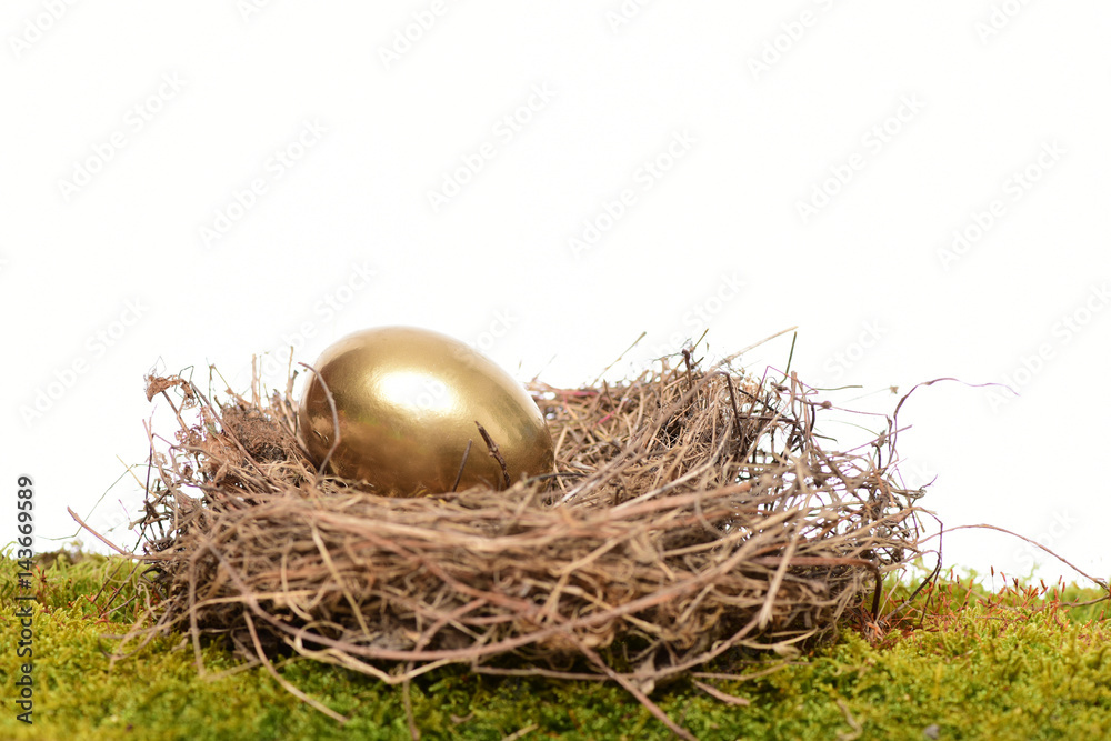 Obraz premium golden egg inside small nest . Happy Easter concept