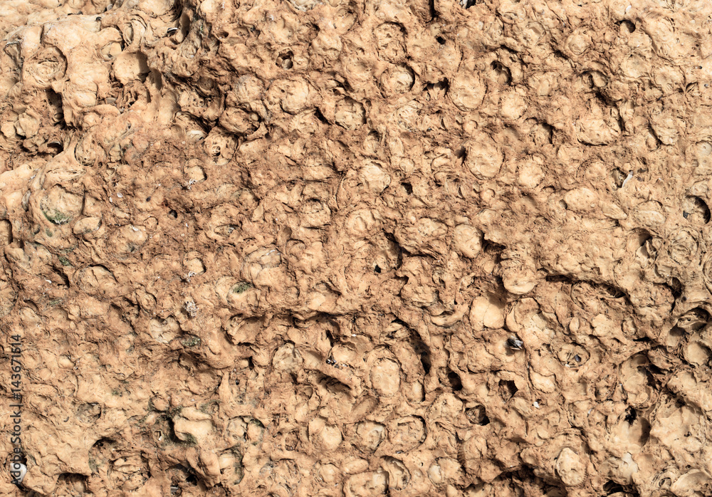 Texture of rusty wall from shell rock