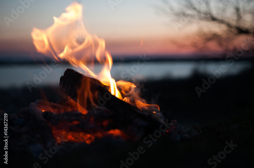 fire in nature
