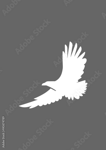 Eagle icon, Vector