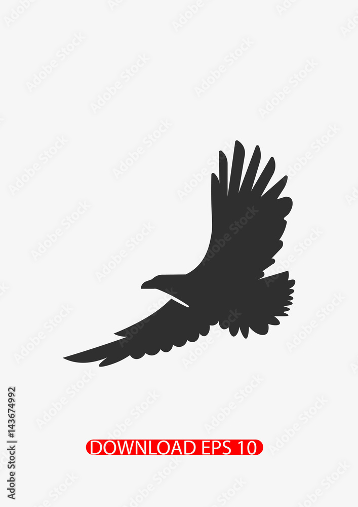 Eagle icon, Vector Eagle icon, Vector