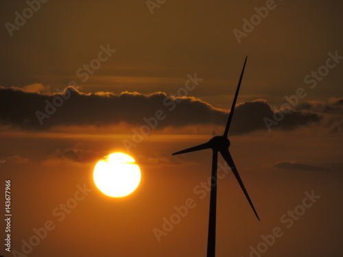 Windmill
