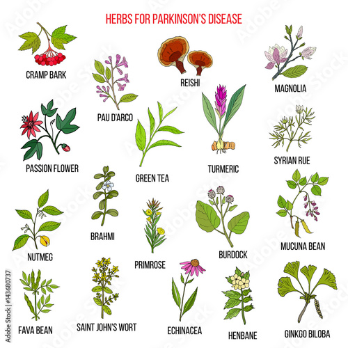 Best natural herbs for parkinson disease