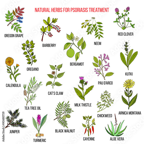 Best natural herbs for psoriasis treatment
