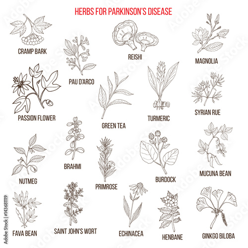 Fototapeta Naklejka Na Ścianę i Meble -  Best natural herbs for parkinson disease