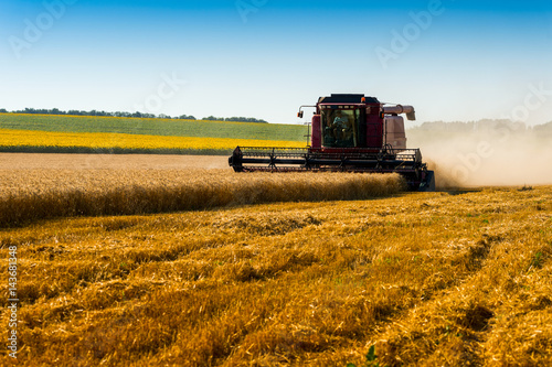 Bilde på lerret red combine harvester harvesting wheat