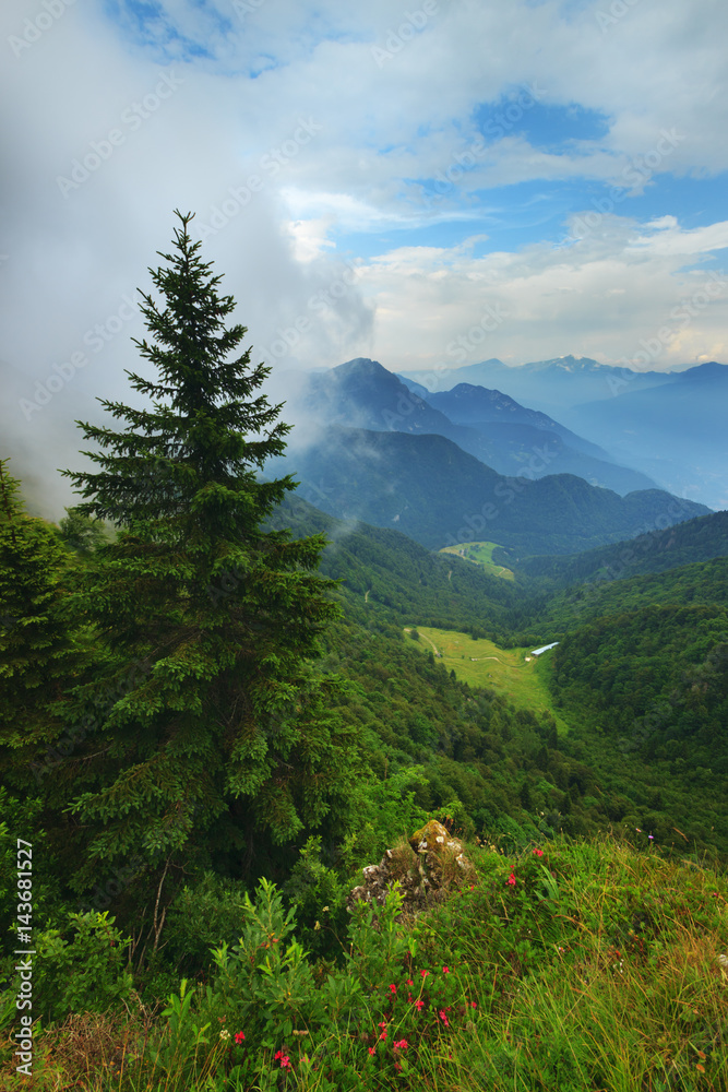 Fototapeta premium High above the Alpe di Ledro, Trentino, Alps, Italy