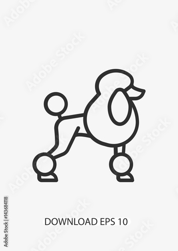 Poodle dog icon, Vector