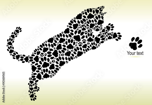 Silhouette of cat from the cat tracks
