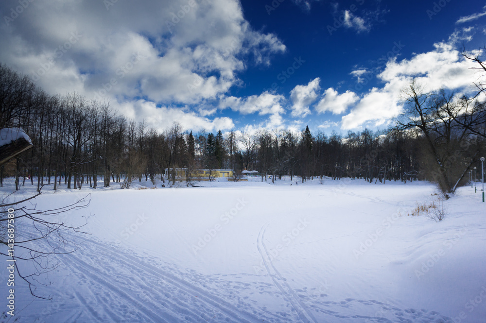 Winter landscape with snow covered countryside. European winter landscape. Blue sky, bright sun and white snow.