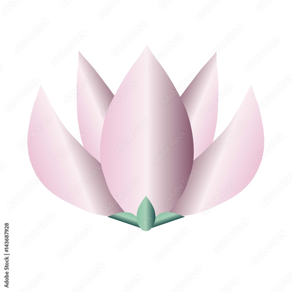 Pink lotus or water lily flower on white stock vector illustration