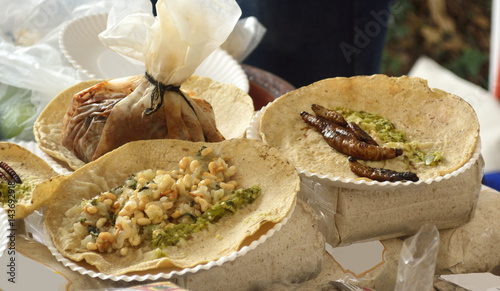 Fried insect and worm tacos from Mexican cuisine: Tacos of  Cuchamá worms and escamoles (ant eggs), and rabbit mixiote photo