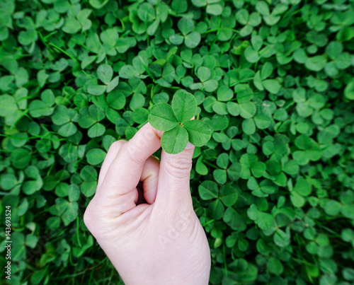 finding a four-leaf clover