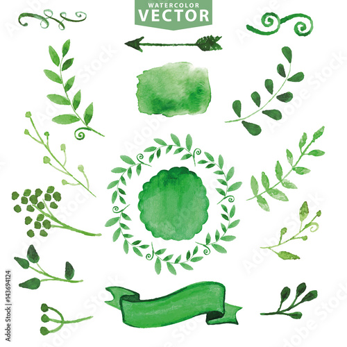 Watercolor green decor,branches.Floral set