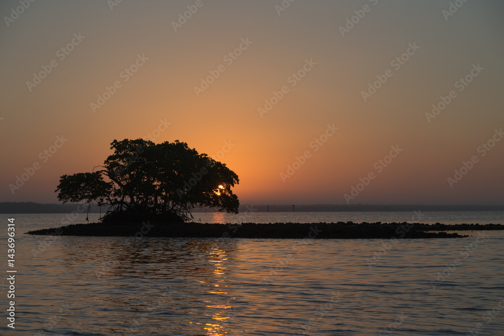 Dawn light over mangrove area of Thousand Islands in Everglades, Florida  