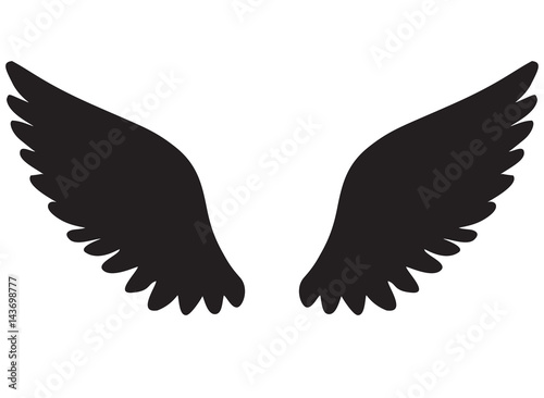 Vector Wings Icon