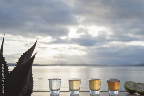 Four types of tequila on outside deck with agave plant