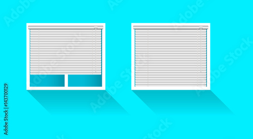 Plastic window with blinds