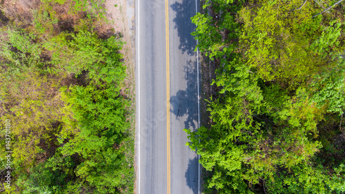 Aerial view of the road through forest.