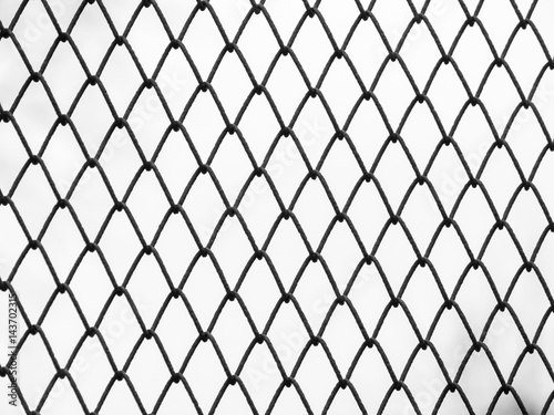 Mesh netting on the white background