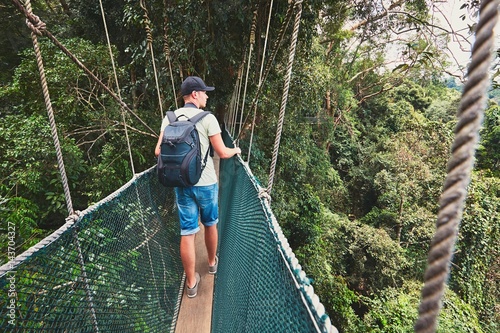 Canopy walk in rainforest