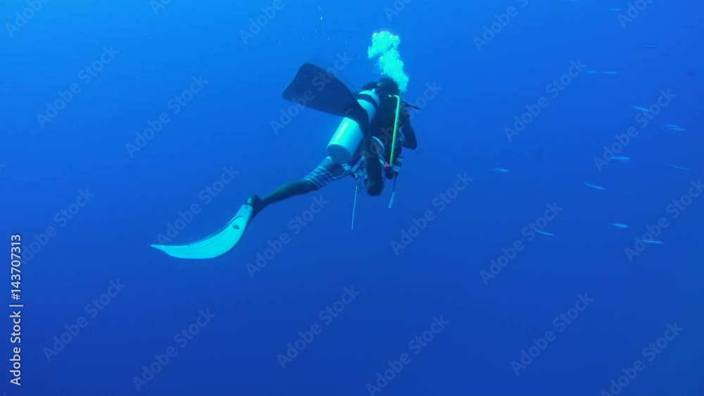 Male scuba diver swimming in blue water and points at something with his finger, Indian Ocean, Maldives
Male scuba diver swimming in blue water and points at something with his finger, Indian Ocean, Maldives