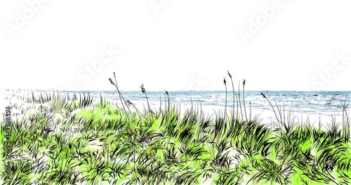 Fotografija Tropical Beach