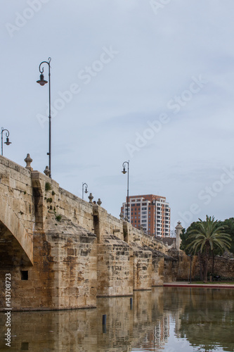 Pont del Real, old bridge on Turia river, Valencia, Spain