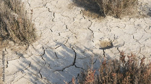 Dehydrated dry soil in the desert photo