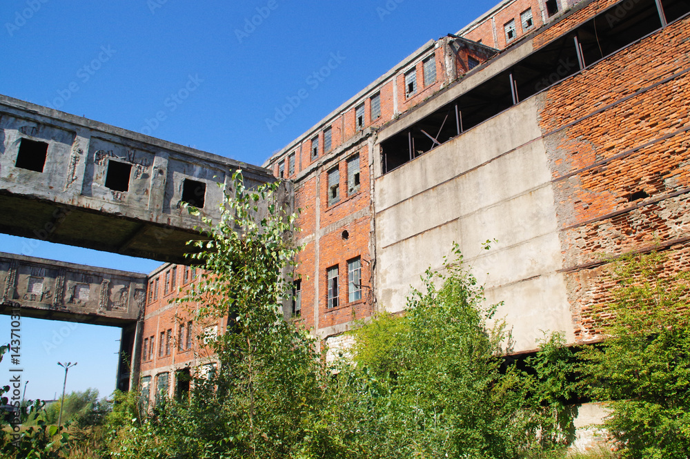 Overgrown ruins of old factory
