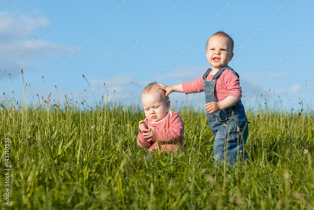 Fototapeta premium Children playing in green grass. One child strokes the head of another