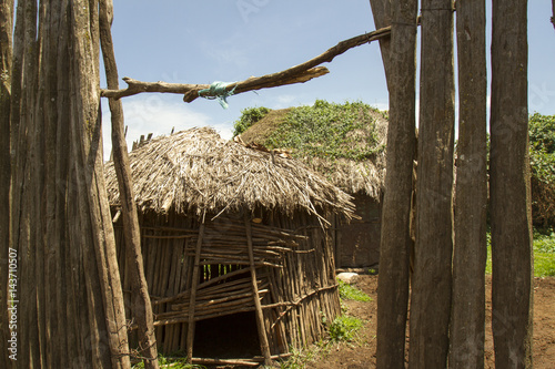 Thatched Maasai huts in krall in village