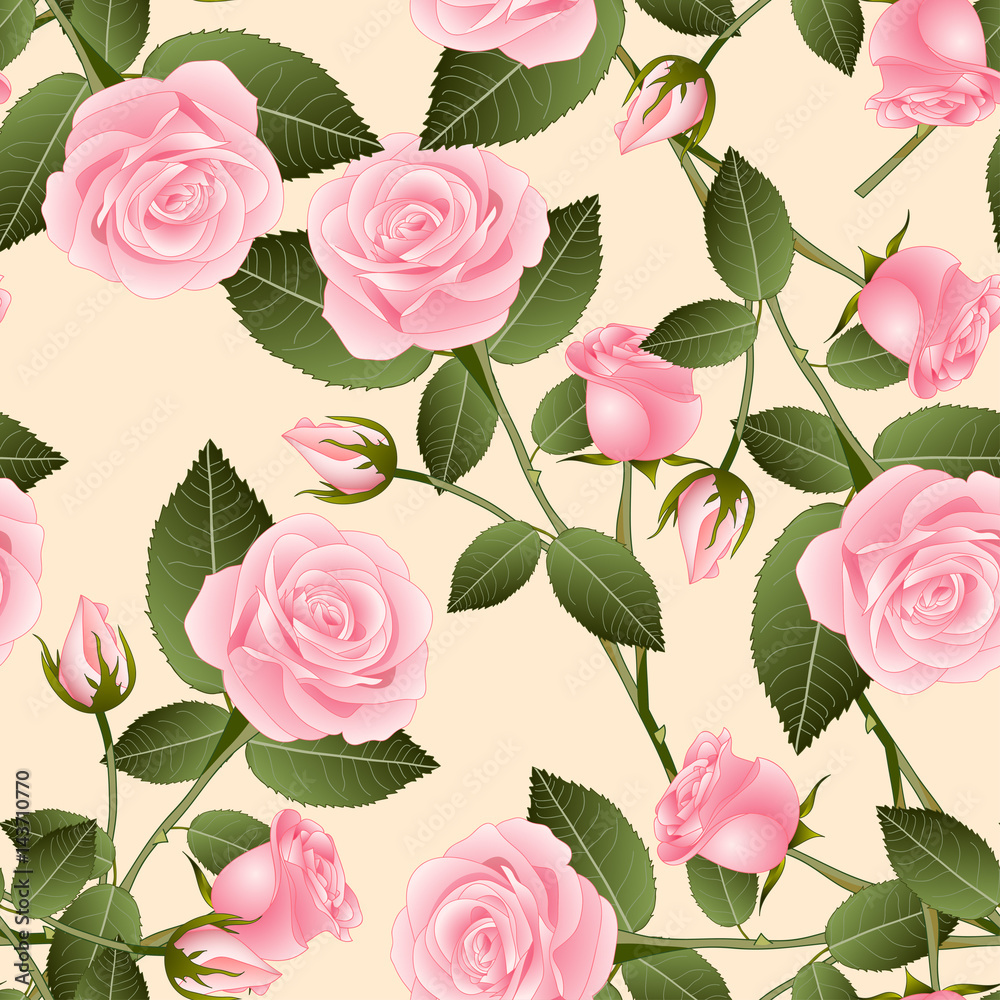Beautiful Pink Rose - Rosa on Beige Ivory Background. Valentine Day. Vector Illustration