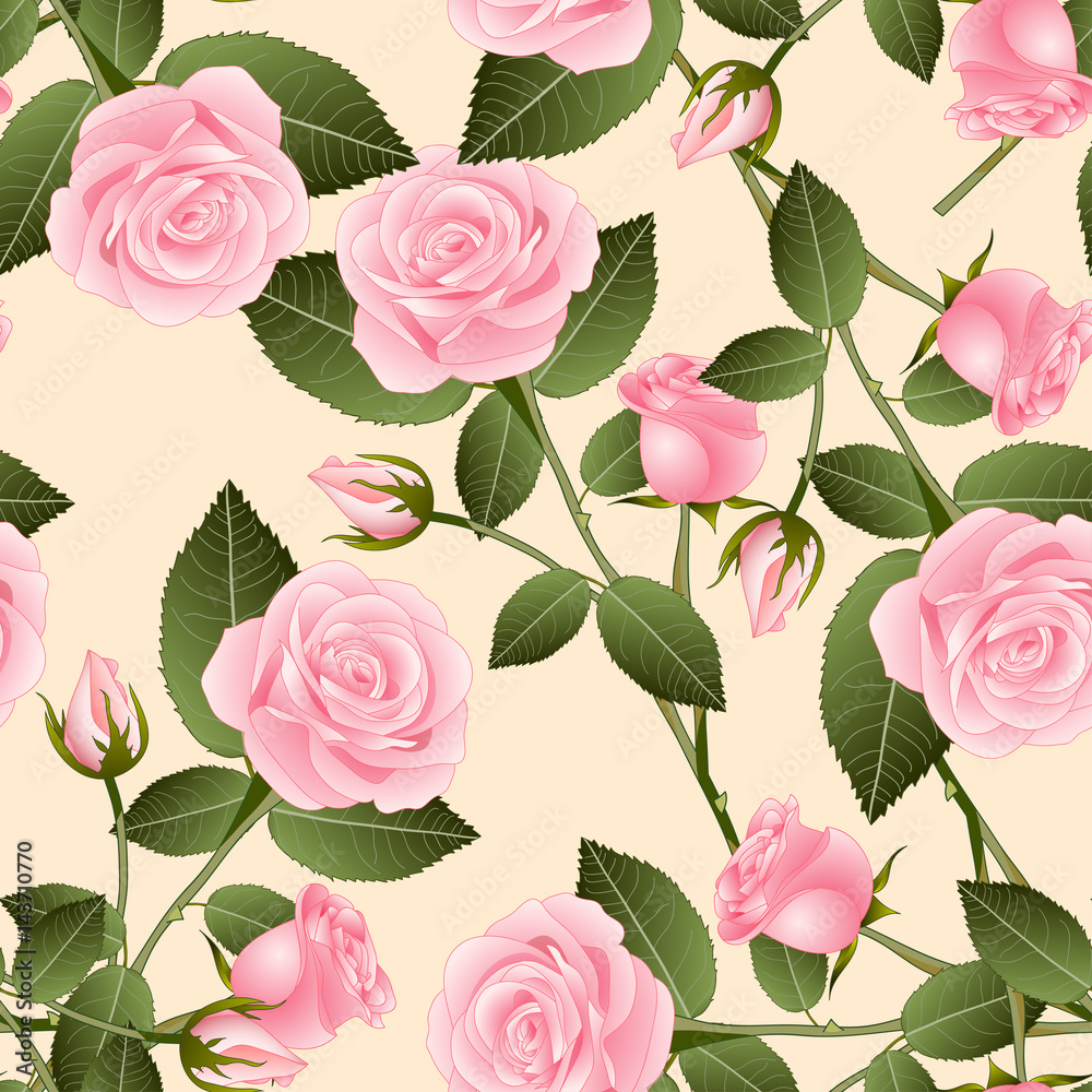 Beautiful Pink Rose - Rosa on Beige Ivory Background. Valentine Day. Vector Illustration Beautiful Pink Rose - Rosa on Beige Ivory Background. Valentine Day. Vector Illustration