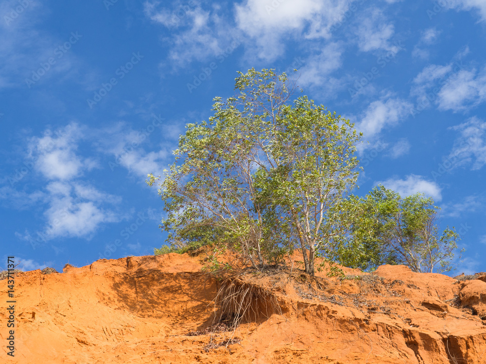 Canyon desert sand and hill with blue sky landscape nature background