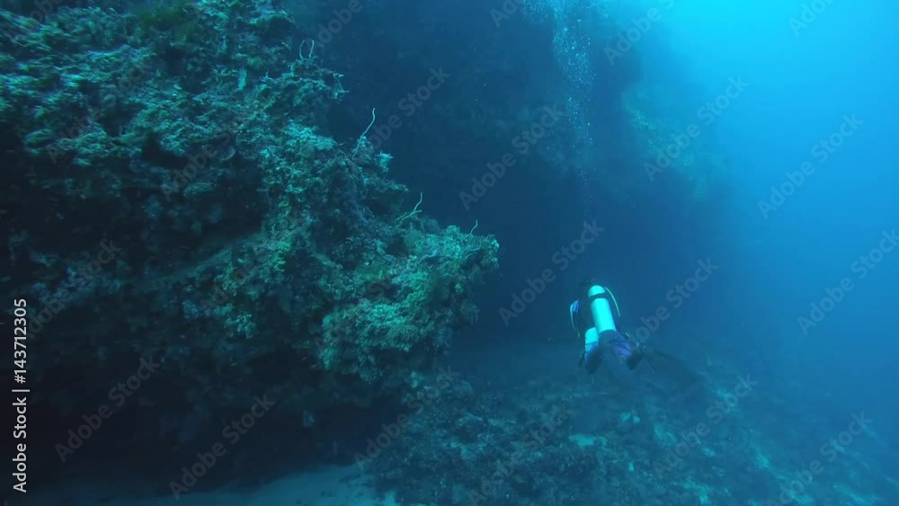 Male scuba diver swims next a coral reef, Indian Ocean, Maldives
Male scuba diver swims next a coral reef, Indian Ocean, Maldives