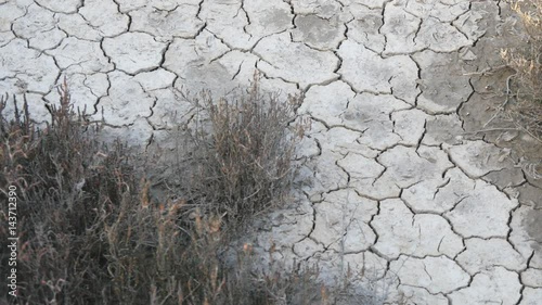 Dehydrated dry soil in the desert photo