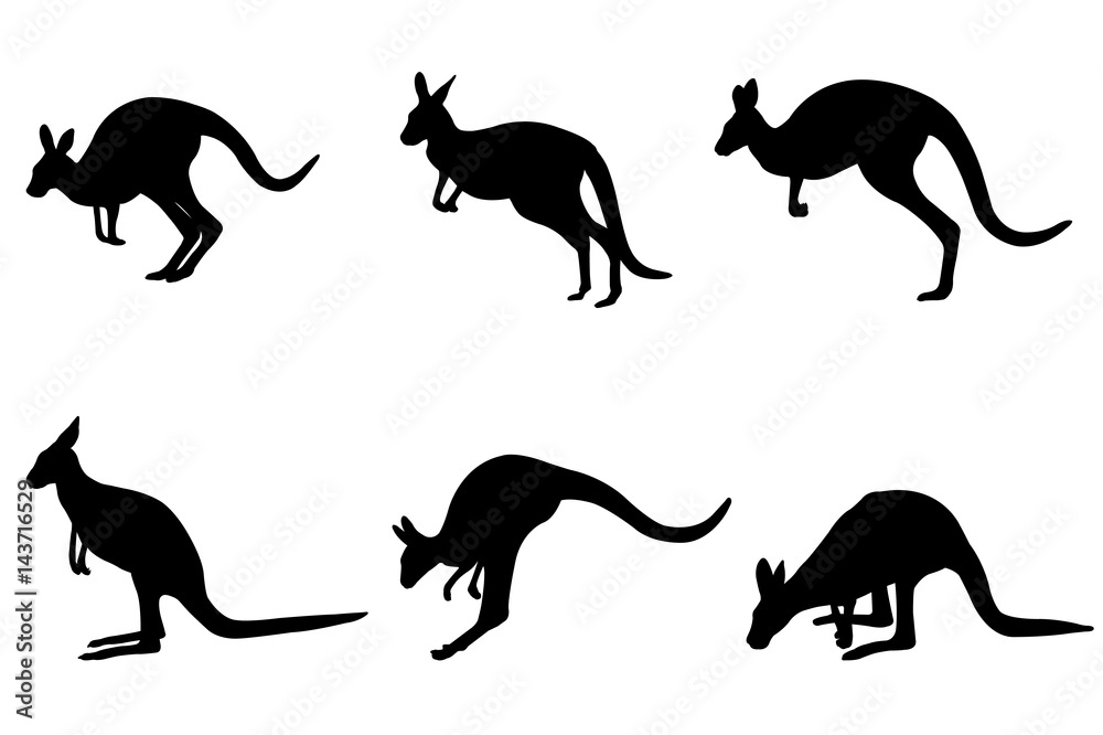 kangaroo silhouettes - vector