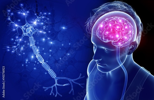 Close-up of brain and nerve cell of a man