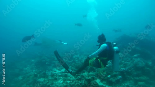 Wallpaper Mural Male scuba diver look on the Giant oceanic manta ray (Manta birostris) swims over a coral reef in blue water, Indian Ocean, Maldives
 Torontodigital.ca