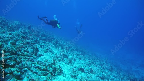 Wallpaper Mural Two male scuba divers float down the slope of a coral reef, Indian Ocean, Maldives, Indian Ocean, Maldives
 Torontodigital.ca
