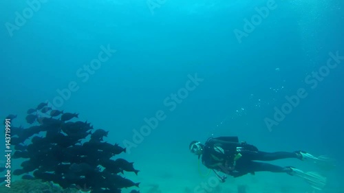 Wallpaper Mural Young woman scuba diver swims in school of fish Yellowfin Surgeonfish (Acanthurus xanthopterus), Indian Ocean, Maldives
 Torontodigital.ca