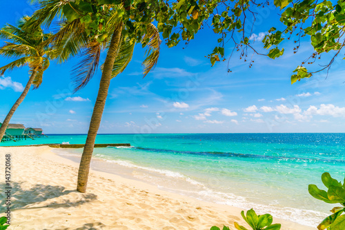 Beautiful tropical Maldives island, white sandy beach and sea  with palms tree around . © jannoon028