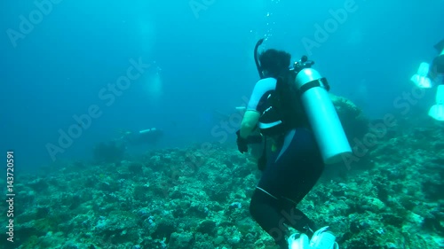 Wallpaper Mural A female scuba diver looks at the fish and shows them, Indian Ocean, Maldives
 Torontodigital.ca