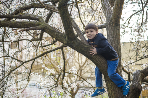 boy kid hanging from a blossom spring tree and having fun in the nature