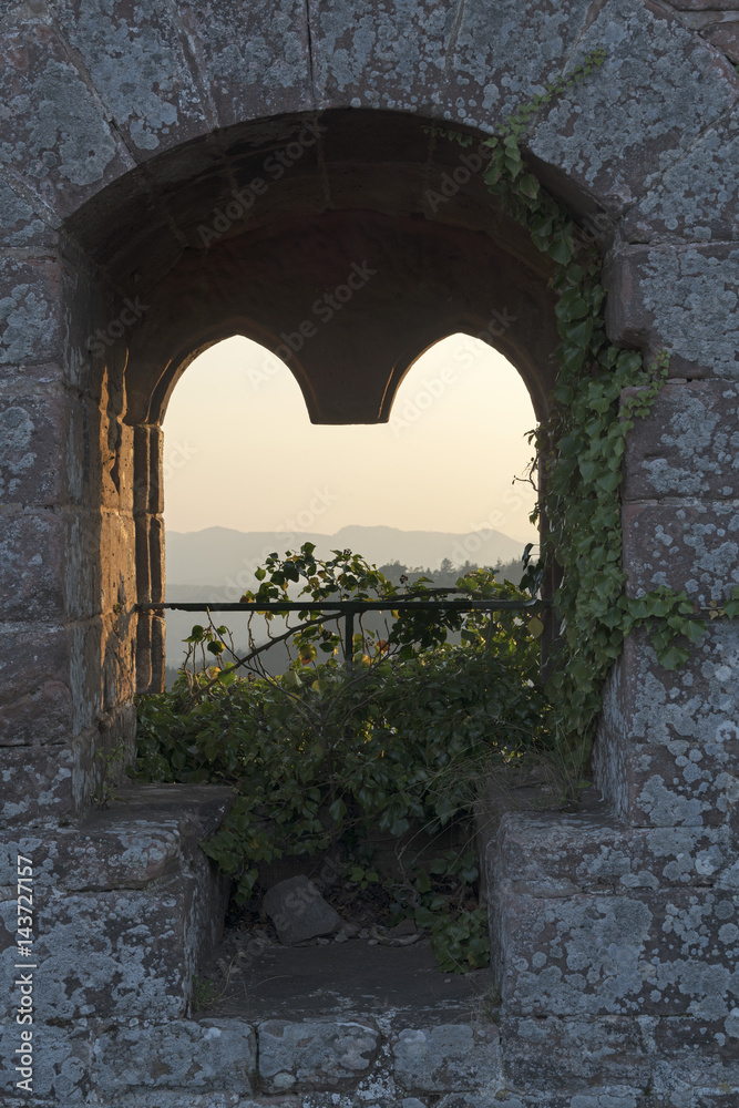 Fototapeta premium Von Efeu umranktes Burgfenster, Burg Lindelbrunn