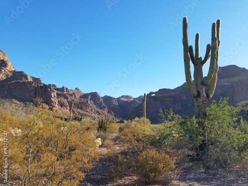 Arizona desert © Nolan