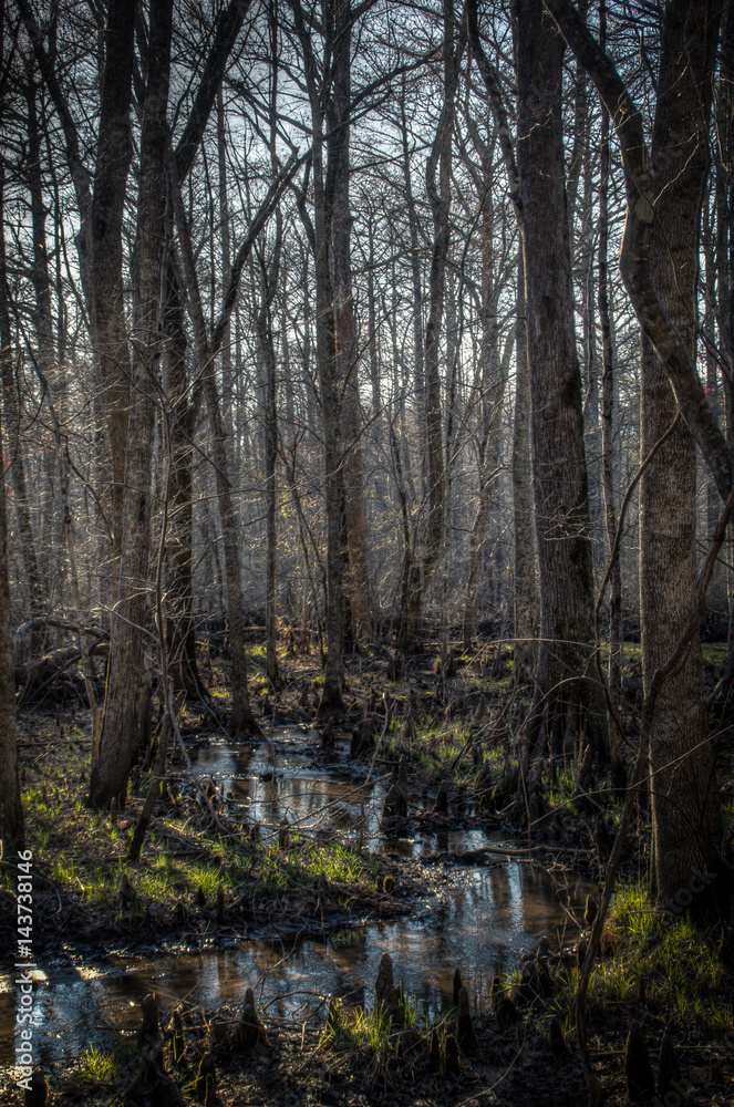 Fototapeta premium Winter in Virginia's Dragon