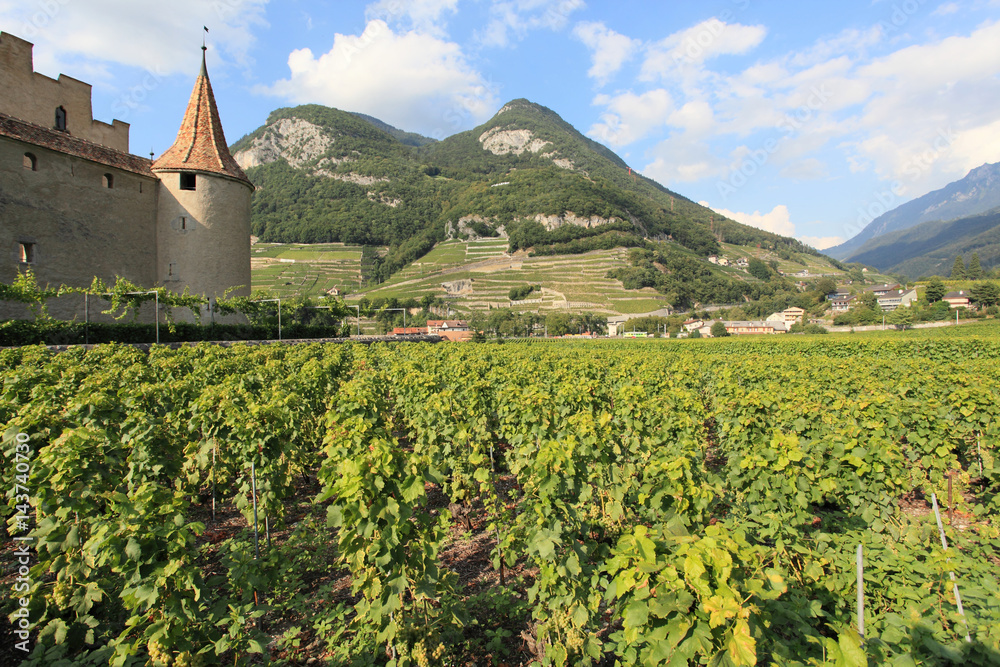 castle and vineyard in Aigle near lake Geneva, Switzerland